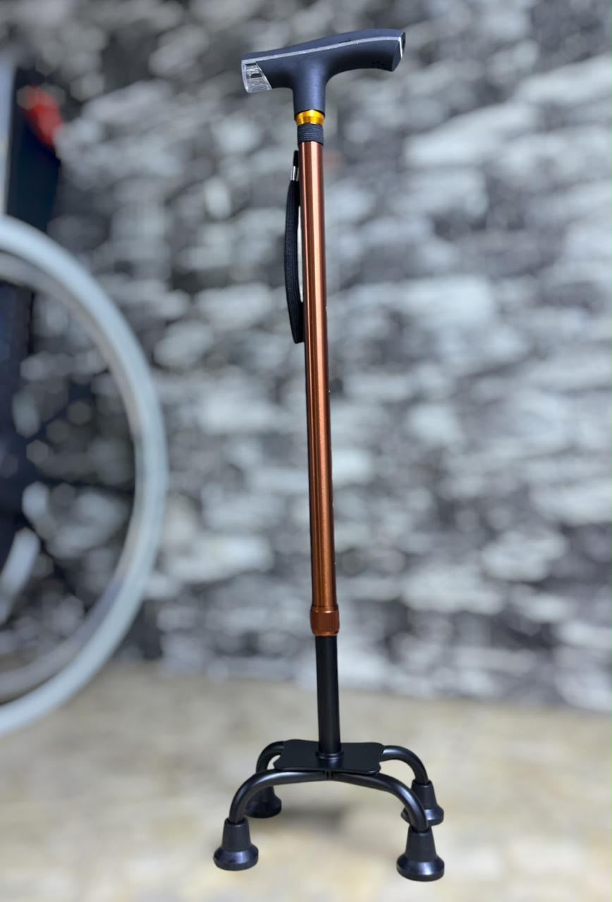 Bastón clásico con linterna café